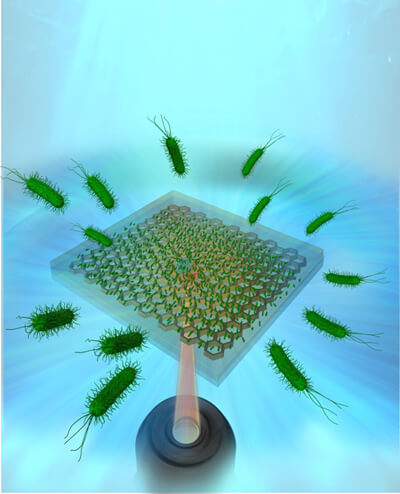 日本開發出利用光來高密度濃縮微生物活體的蜂窩基底層