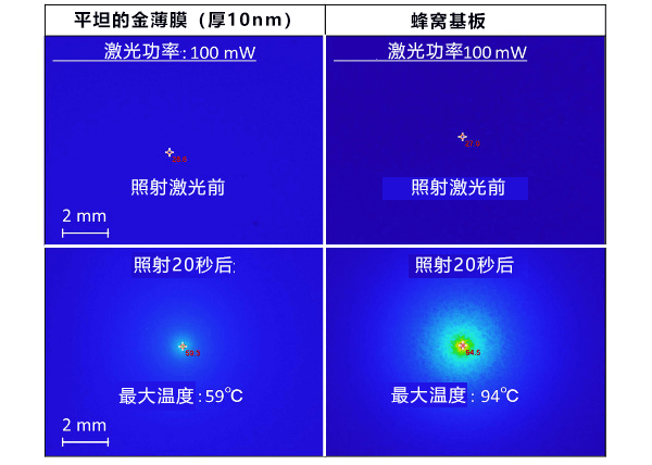 日本開發出利用光來高密度濃縮微生物活體的蜂窩基底層