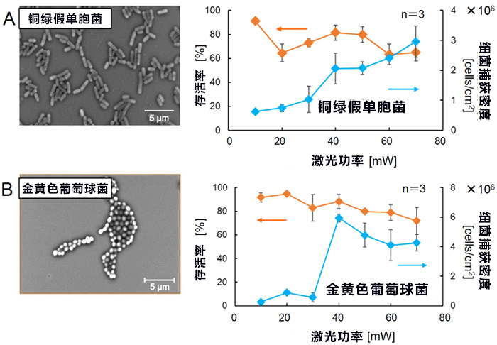 日本開發出利用光來高密度濃縮微生物活體的蜂窩基底層