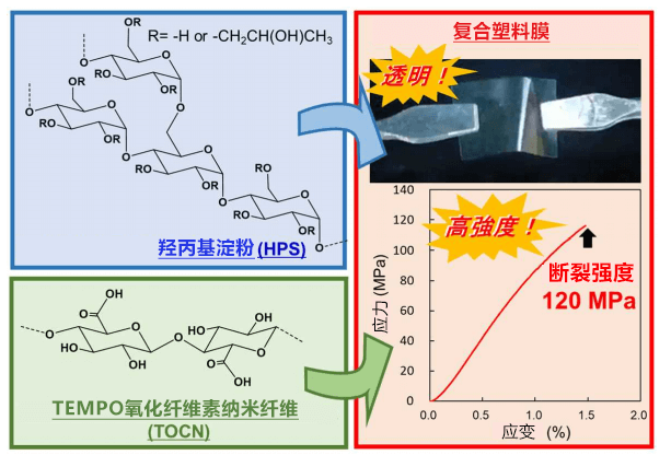 大阪大學用澱粉和纖維素開發出高強度高耐水性的海洋生物降解塑膠