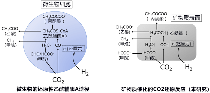 日德法團隊發現生命起源的化學反應，僅用有機物質就能簡單合成無機物