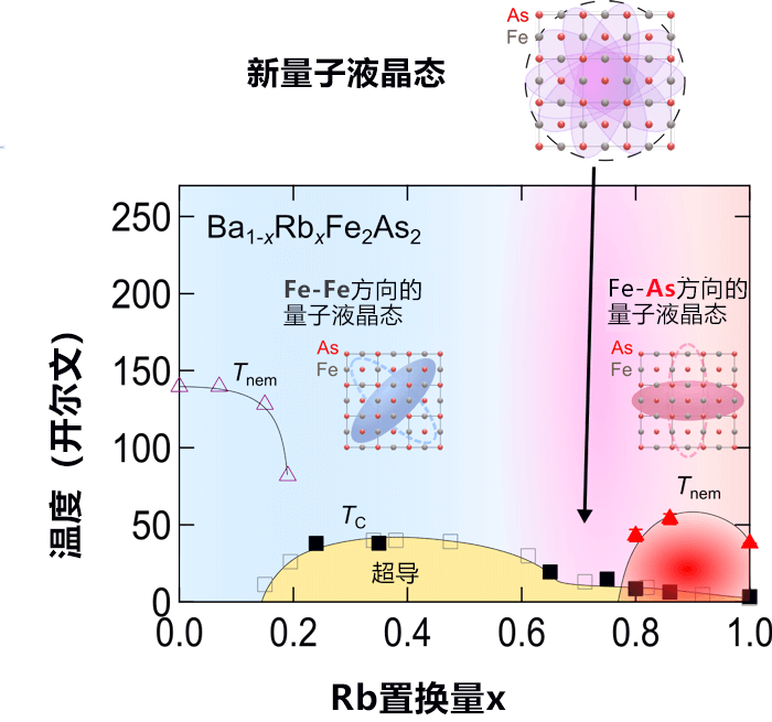 東京大學等發現鐵基超導的新量子液晶態