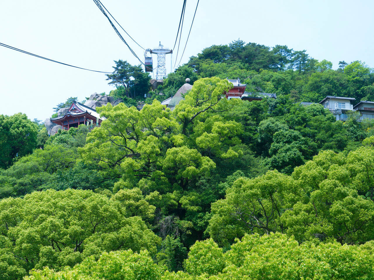 廣島縣尾道市千光寺：山城的櫻花和巨石名勝