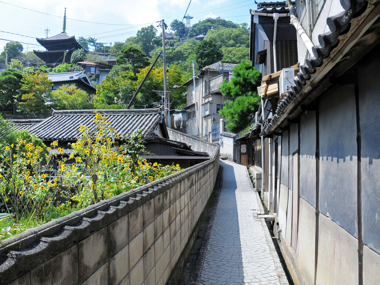 廣島縣尾道市千光寺：山城的櫻花和巨石名勝