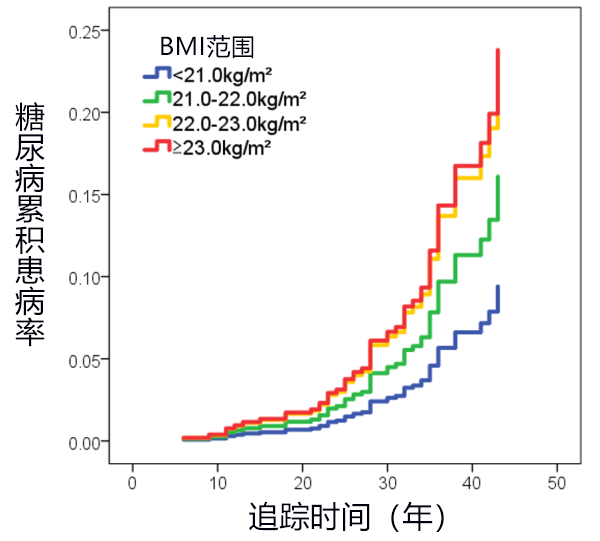 青年期BMI超過22，將來易患糖尿病