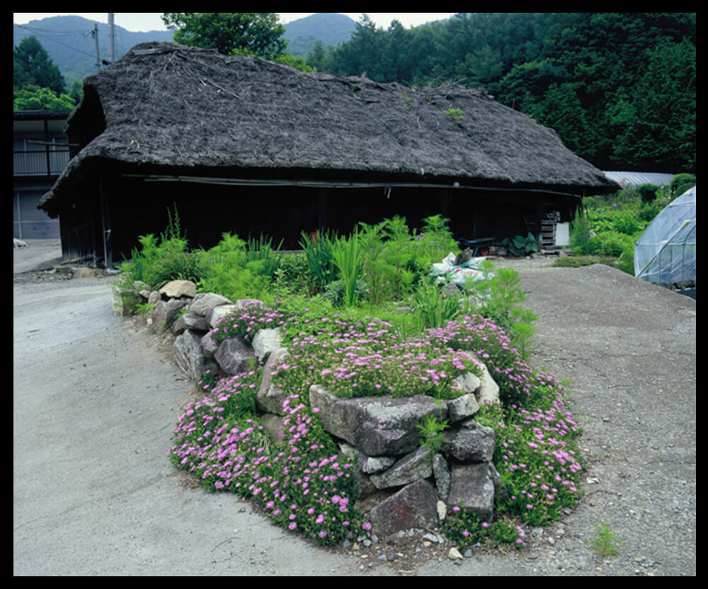 寫真蘆川 那山那田那人