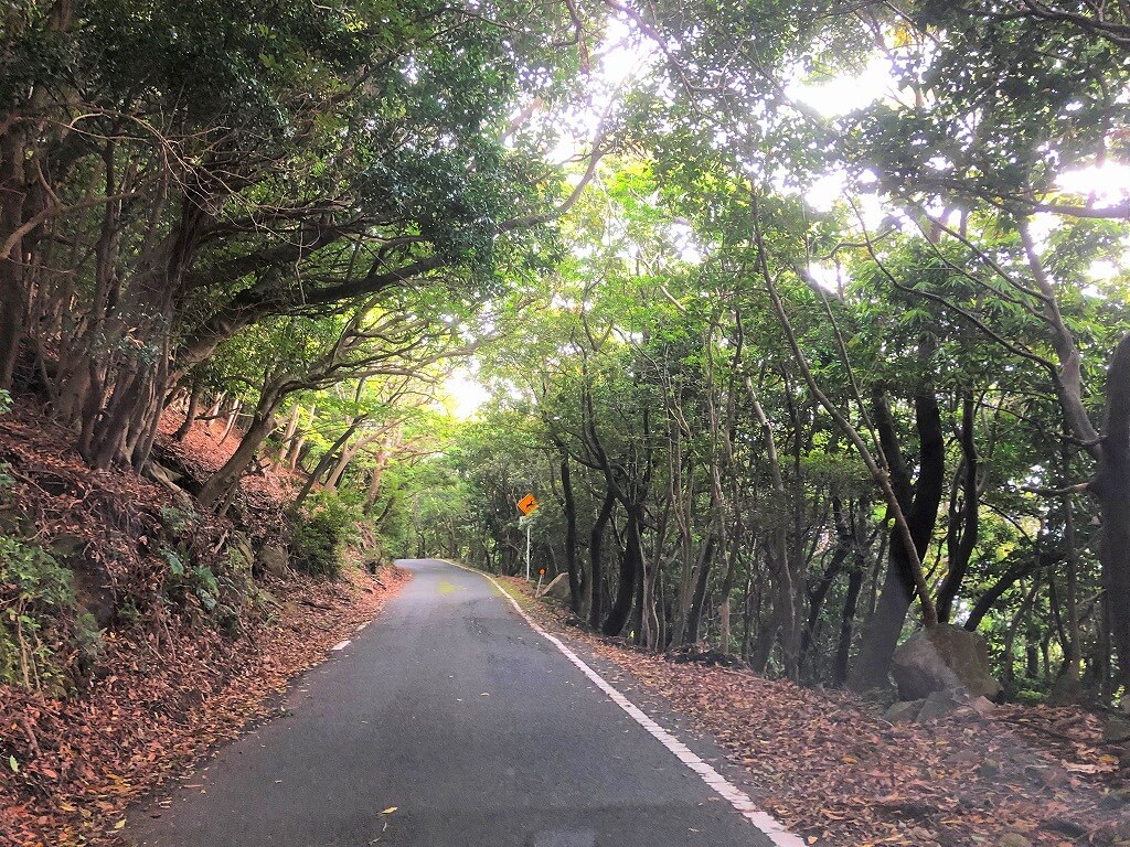 兩天半玩遍屋久島 飛進島，先自駕環島一週