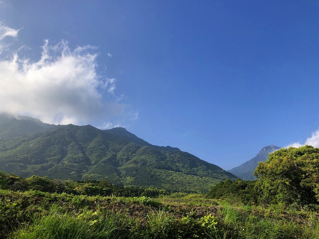 兩天半玩遍屋久島 飛進島，先自駕環島一週