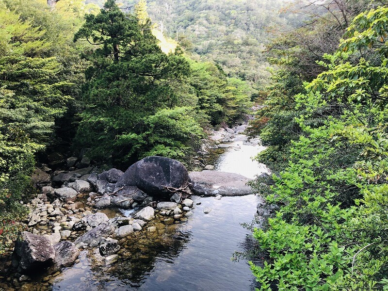 兩天半玩遍屋久島 探訪自然遺產，感受大自然魅力