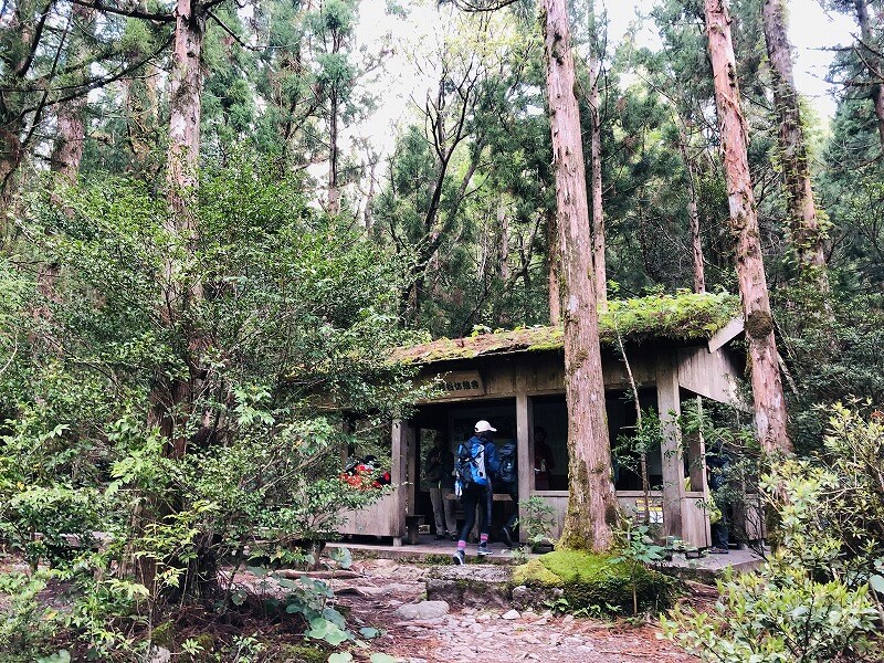 兩天半玩遍屋久島 探訪自然遺產，感受大自然魅力