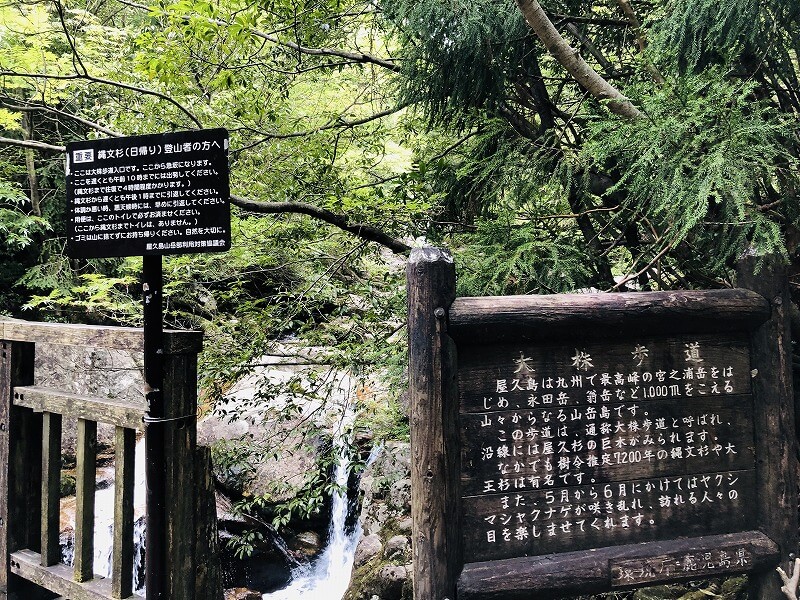 兩天半玩遍屋久島 探訪自然遺產，感受大自然魅力