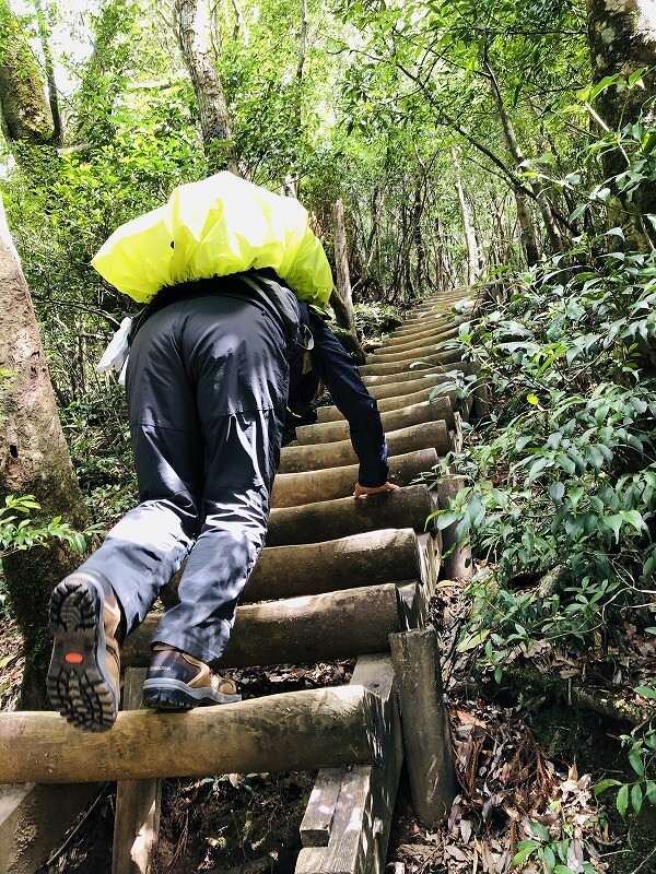 兩天半玩遍屋久島 探訪自然遺產，感受大自然魅力