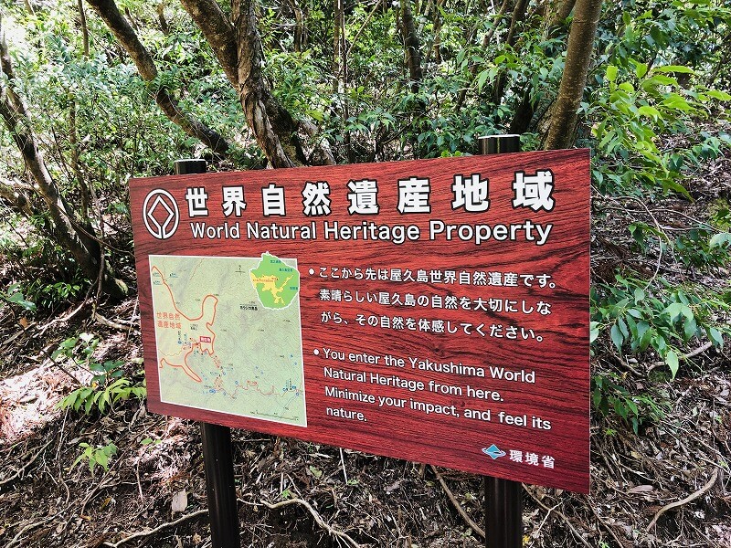 兩天半玩遍屋久島 探訪自然遺產，感受大自然魅力