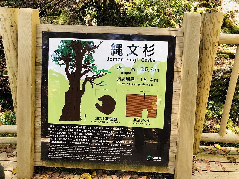 兩天半玩遍屋久島 探訪自然遺產，感受大自然魅力