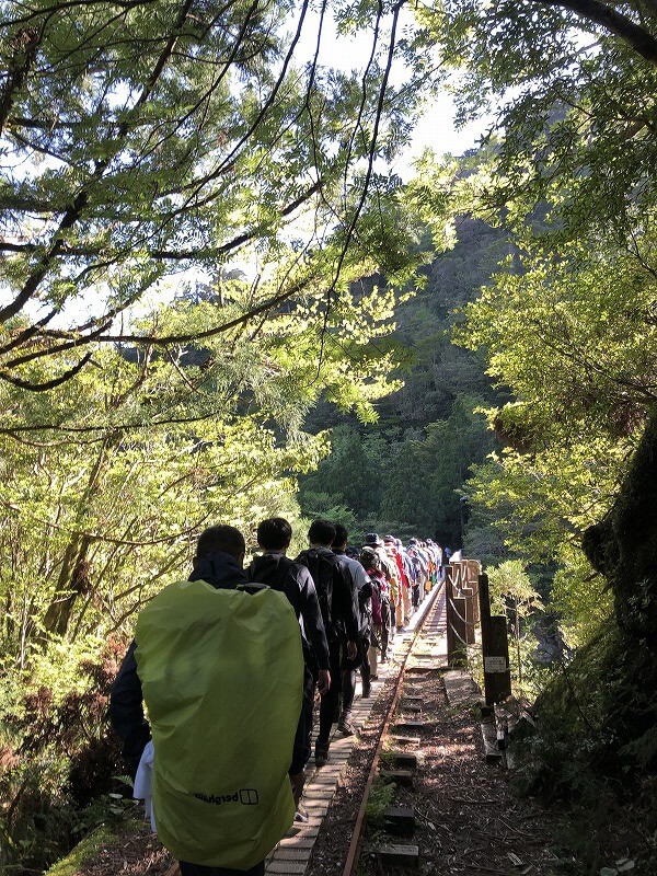 兩天半玩遍屋久島 探訪自然遺產，感受大自然魅力