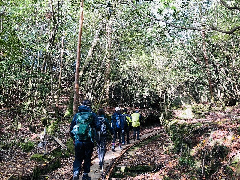 兩天半玩遍屋久島 探訪自然遺產，感受大自然魅力