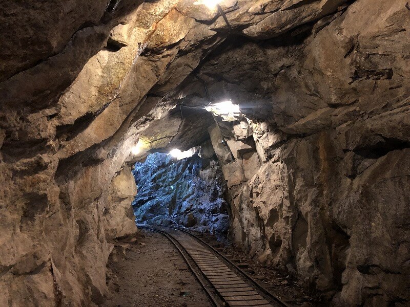 兩天半玩遍屋久島 探訪自然遺產，感受大自然魅力