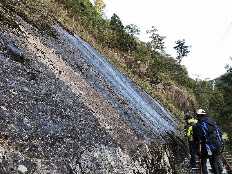 兩天半玩遍屋久島 探訪自然遺產，感受大自然魅力