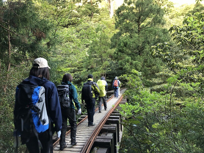 兩天半玩遍屋久島 探訪自然遺產，感受大自然魅力