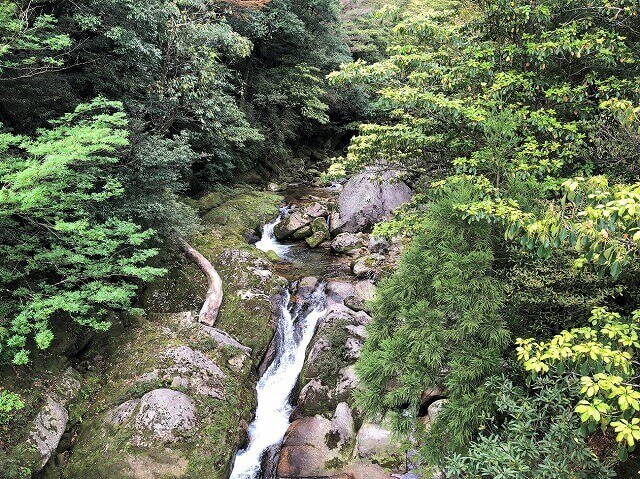 兩天半玩遍屋久島（完）探訪幽靈公主拯救的那片森林——白谷雲水峽