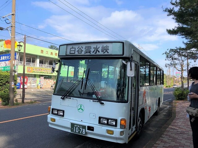 兩天半玩遍屋久島（完）探訪幽靈公主拯救的那片森林——白谷雲水峽