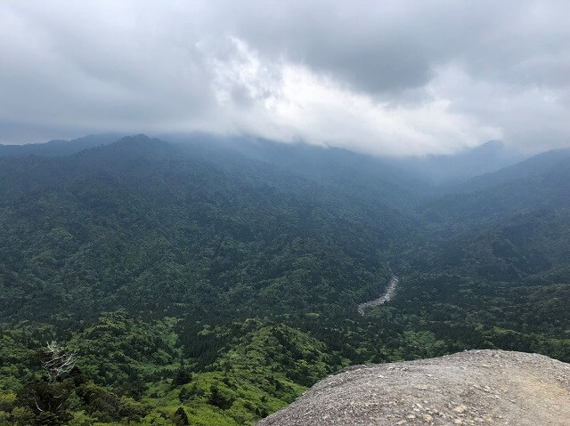 兩天半玩遍屋久島（完）探訪幽靈公主拯救的那片森林——白谷雲水峽