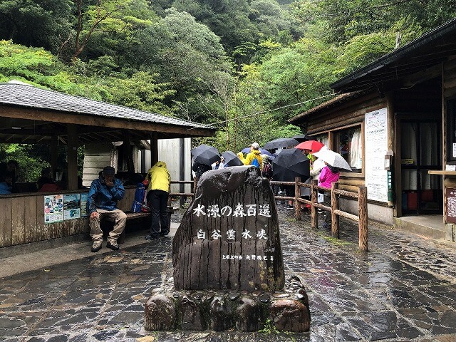 兩天半玩遍屋久島（完）探訪幽靈公主拯救的那片森林——白谷雲水峽