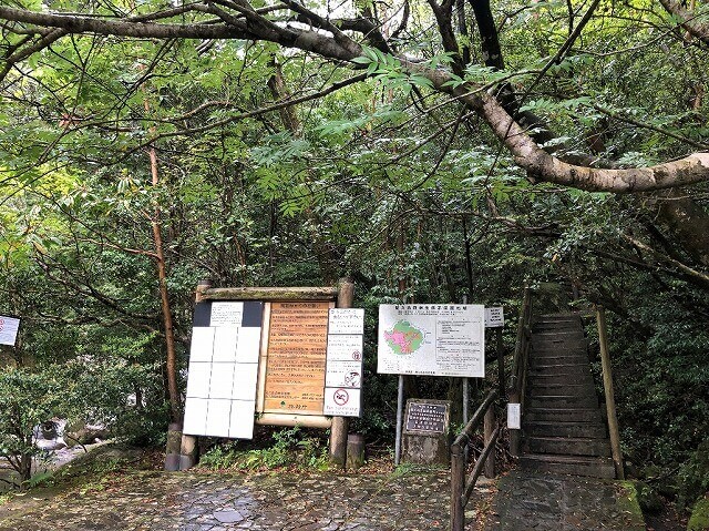 兩天半玩遍屋久島（完）探訪幽靈公主拯救的那片森林——白谷雲水峽