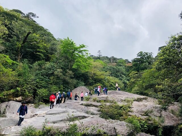 兩天半玩遍屋久島（完）探訪幽靈公主拯救的那片森林——白谷雲水峽