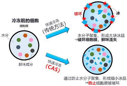 探索激活地區活力的科技之旅