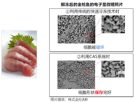 探索激活地區活力的科技之旅