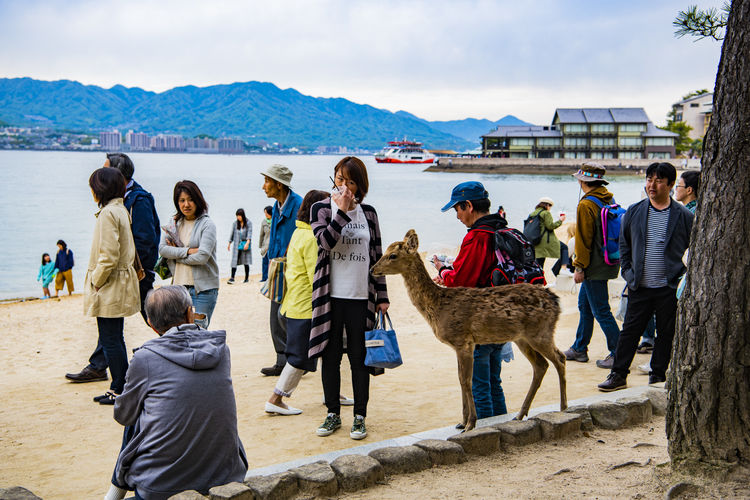 廣島與嚴島神社篇