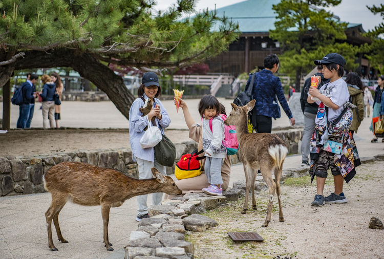 廣島與嚴島神社篇