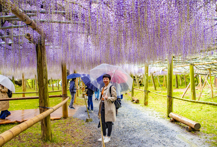 遊走在九州 夢幻藤園及閘司港篇