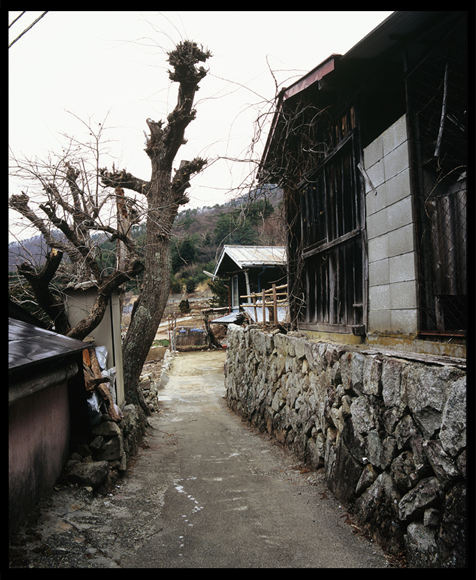 寫真蘆川 生生不息