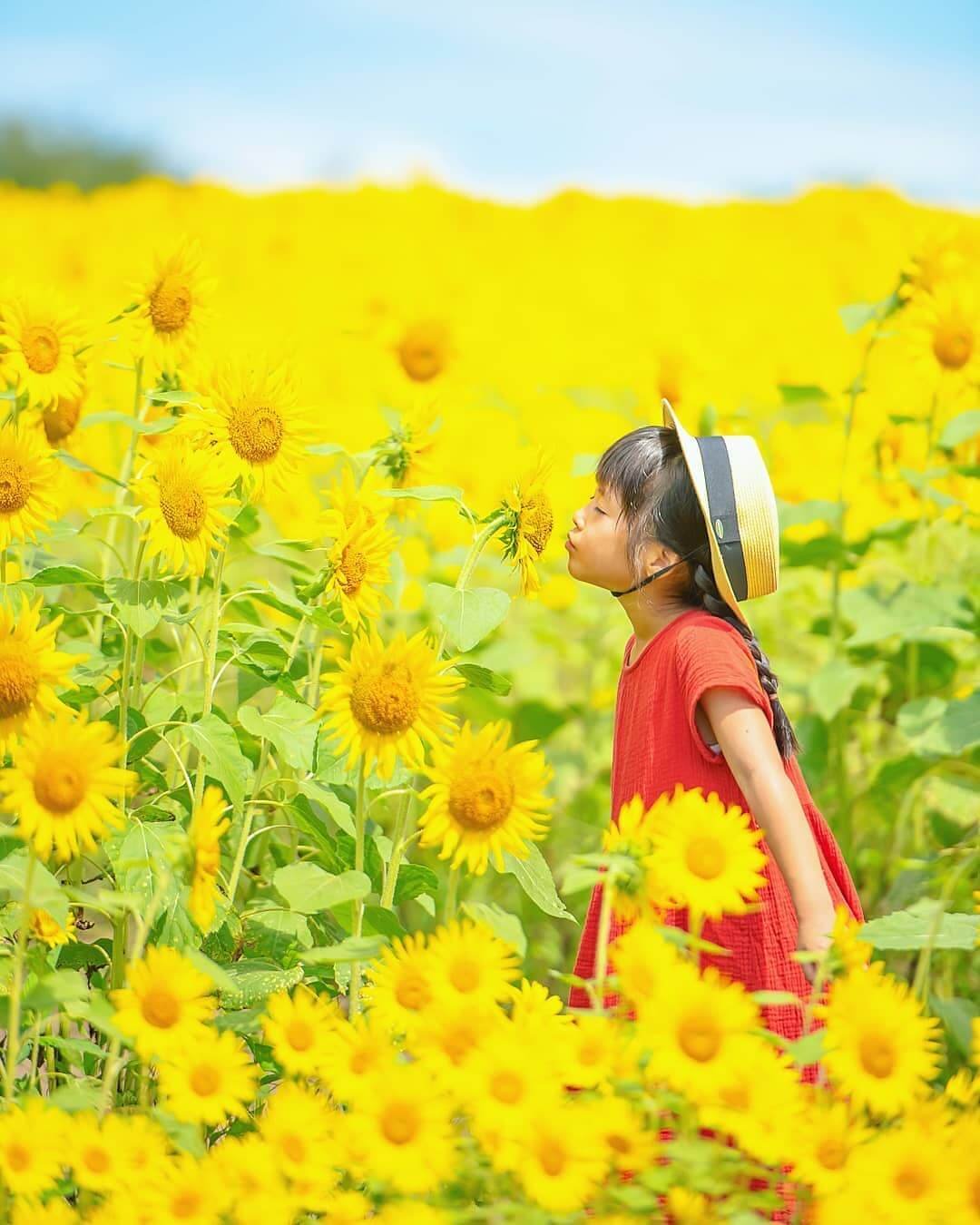 紅衣少女與向日葵