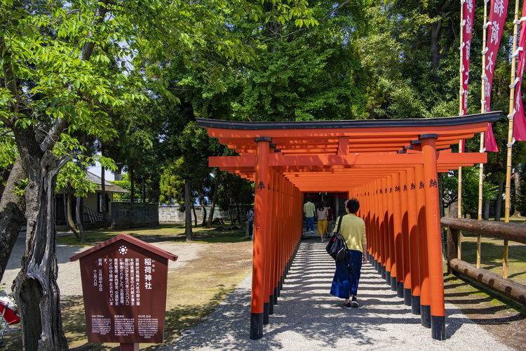 遊走在九州 一個熊火了一座城 熊本篇