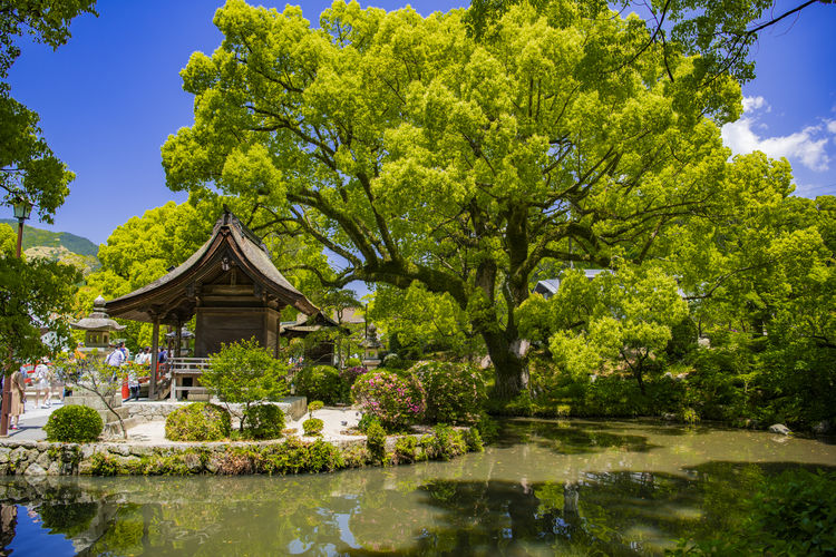 遊走在九州 活力福岡篇