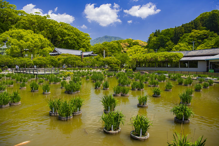 遊走在九州 活力福岡篇