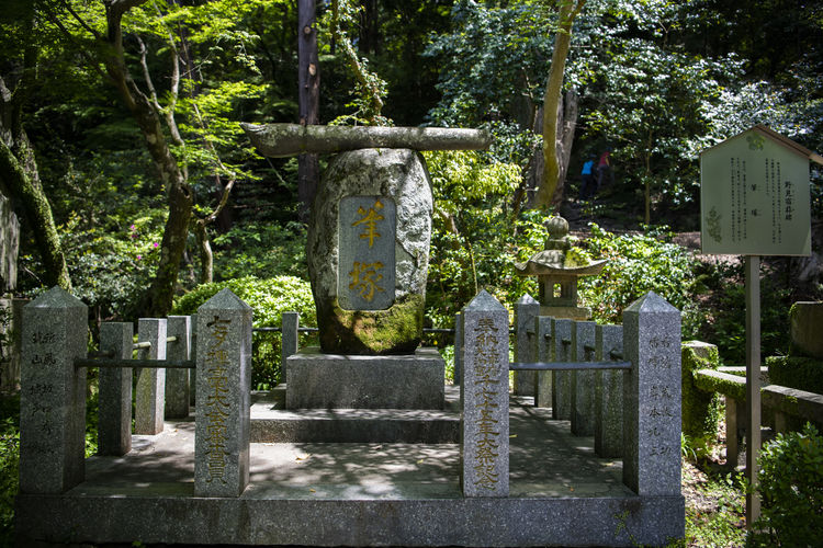 遊走在九州 活力福岡篇