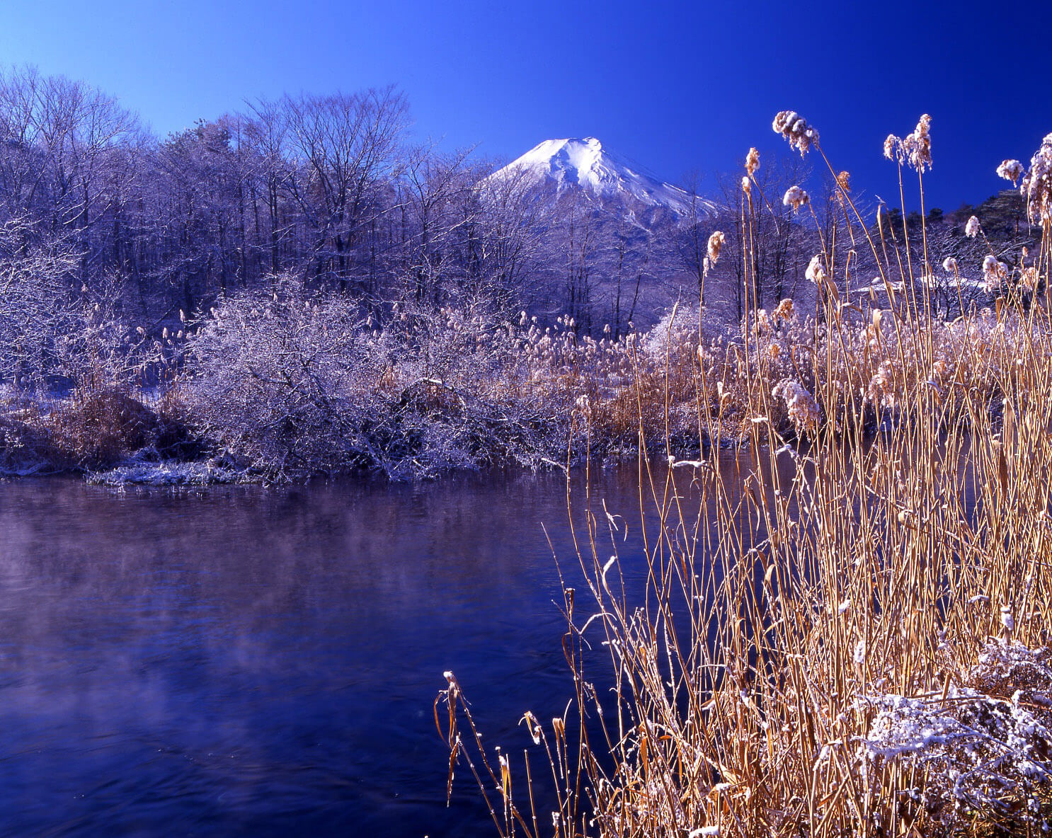 千姿百態富士山