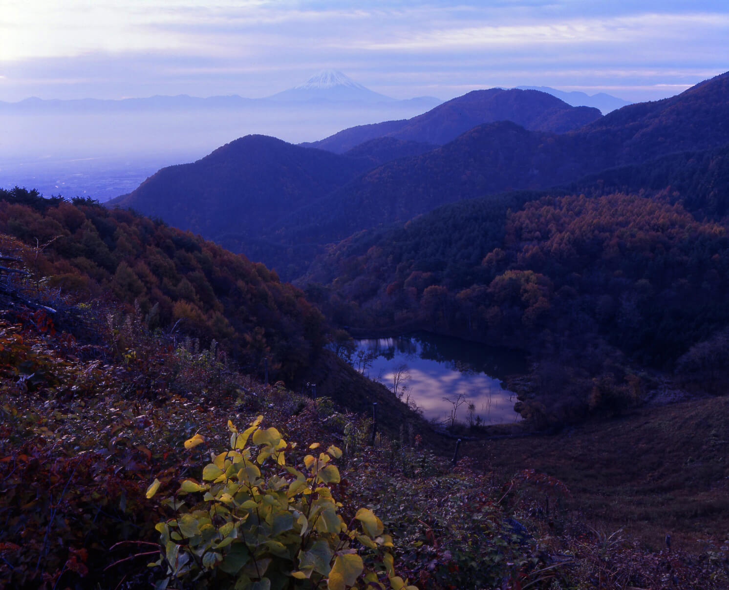 千姿百態富士山