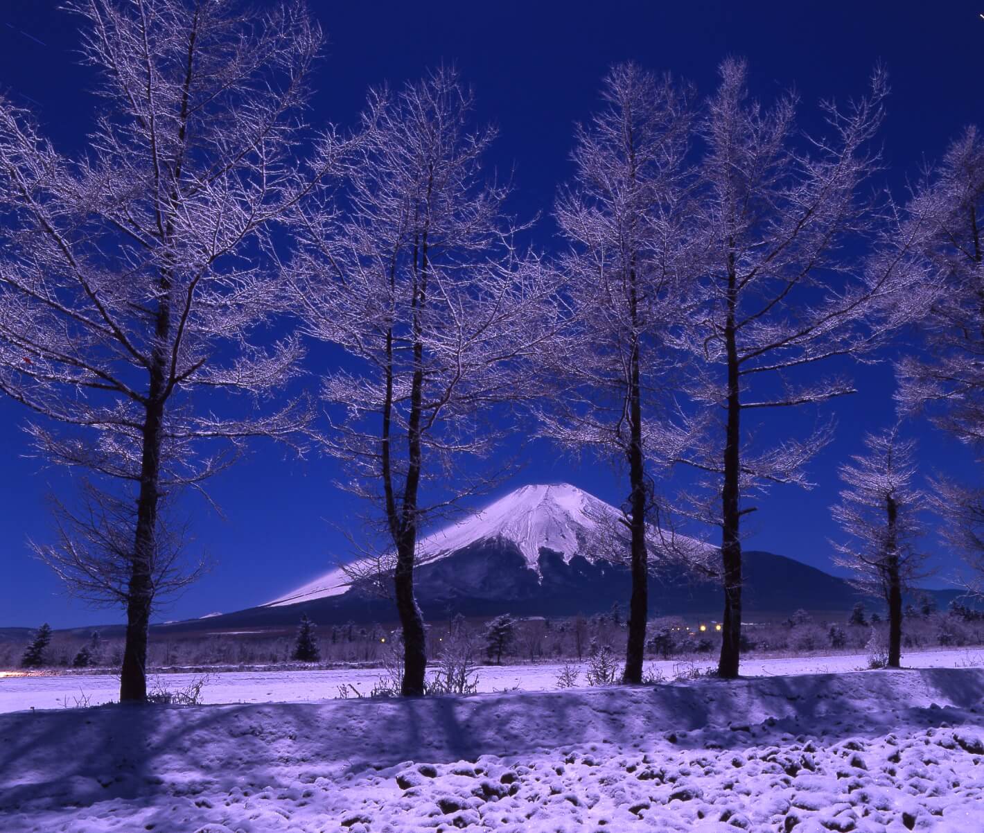 千姿百態富士山