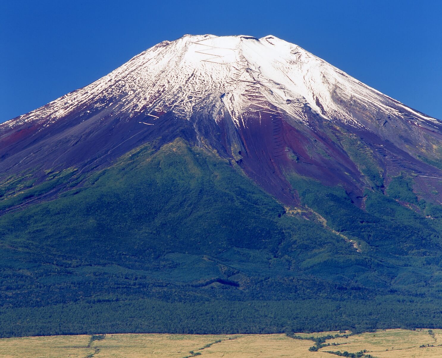 千姿百態富士山