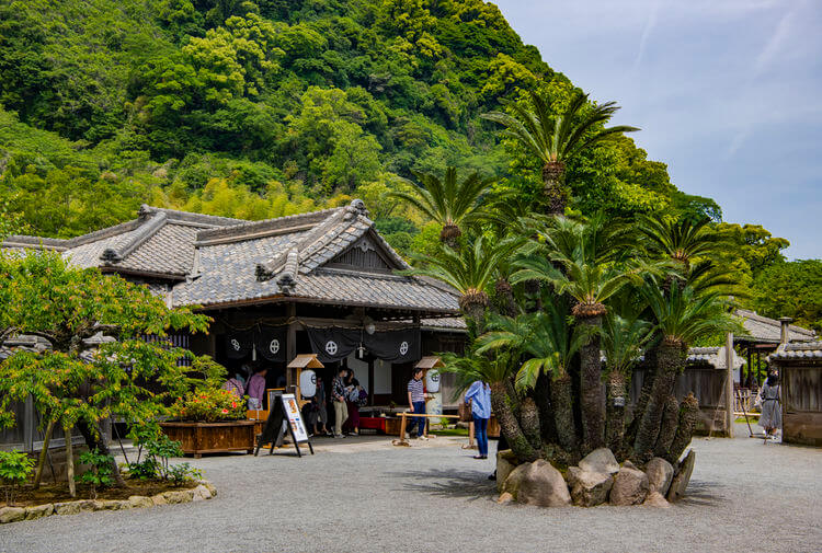 遊走在九州 活火山下的鹿兒島