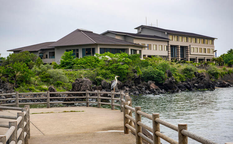 遊走在九州 活火山下的鹿兒島