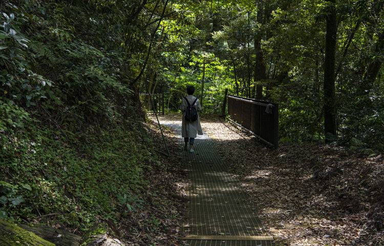 遊走在九州 霧島神宮