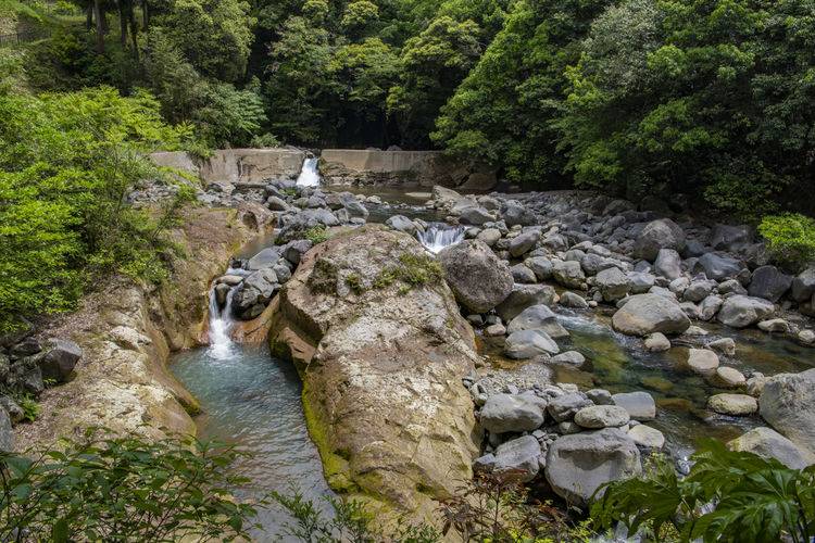 遊走在九州 霧島神宮