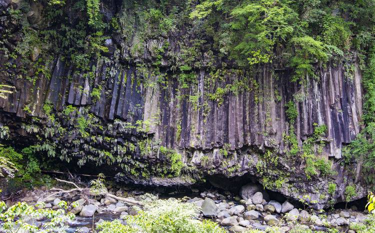 遊走在九州 霧島神宮