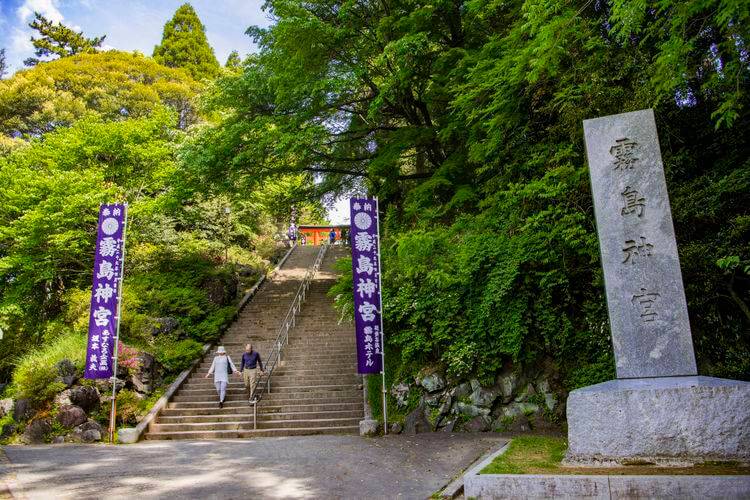 遊走在九州 霧島神宮